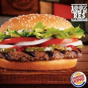 HAMBURGUESA WOOPER
